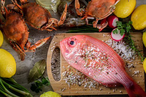 Fresh New Zealand Snapper