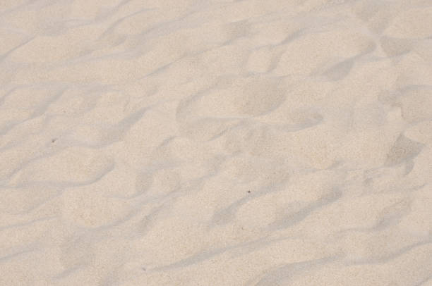 istock natural beach sand - with little stranded goods 689716098
