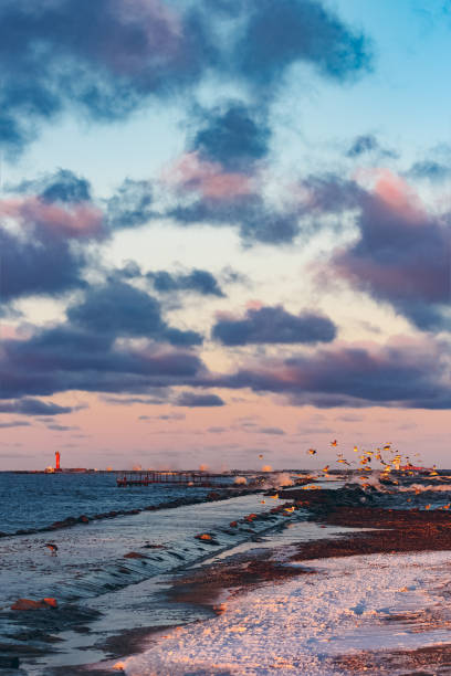 istock Birds over the sea 689716460