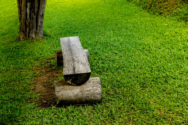 istock Old wooden park bench 689719160