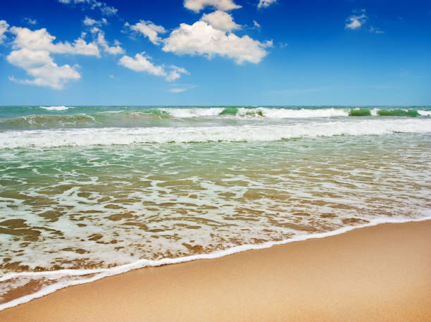 istock Beach sand and blue sea nature in blue sky 689723170