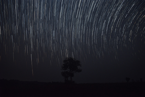 The star trail during the night  with gain and soft focus