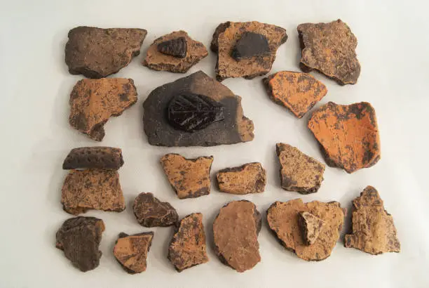 Archaeological finds from excavations in the Saratov region. Fragments of antique ceramics.