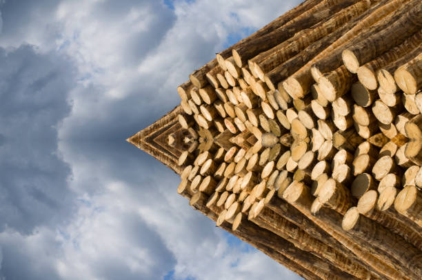 Wood ornamental pattern as a symmetrical background against cloudy sky as tower