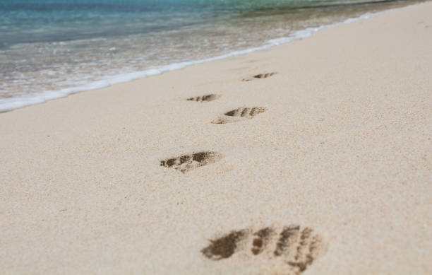 istock Close up of footprints in the sand 689742700