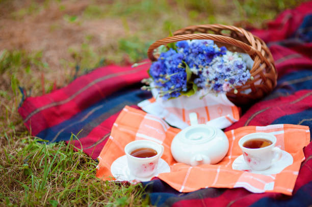 romantic tea party at forest for lovers