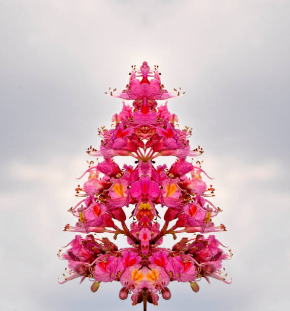 istock horse chestnut pink in the park in spring 689755320