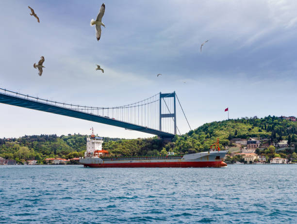 istock Seascape of  Bosphorus. Istanbul. Turkey. 689755790