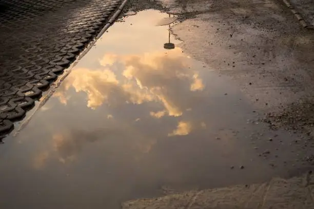 Reflection of tree in puddle. Slovakia