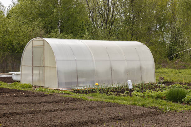 istock Greenhouse made of polycarbonate 689759180