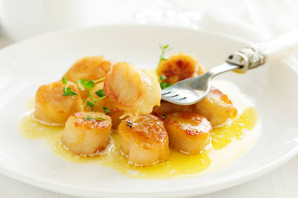 istock Scallops fried in cream sauce with herbs. 689759368