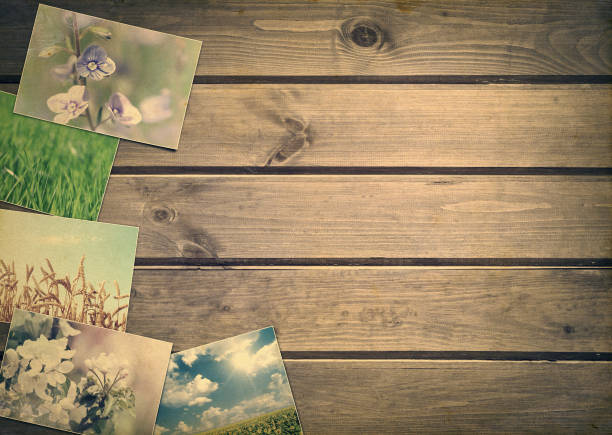 istock Frame with old paper and photos 689766438