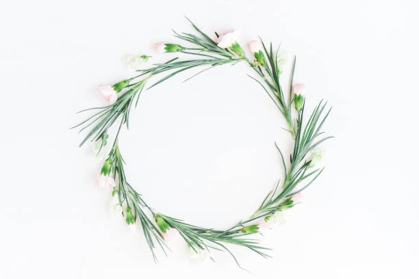 istock Wreath made of carnation flowers on white background 689766752