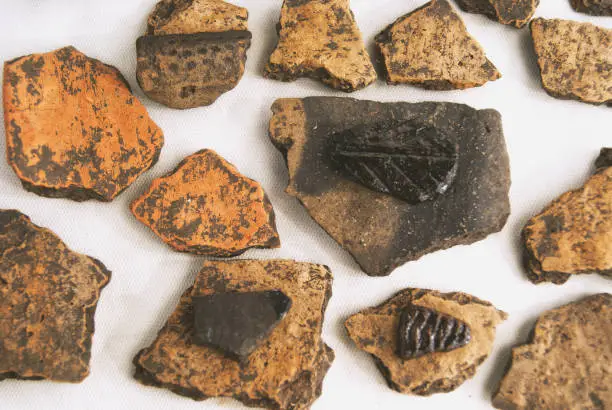 Archaeological finds from excavations in the Saratov region. Fragments of antique ceramics.
