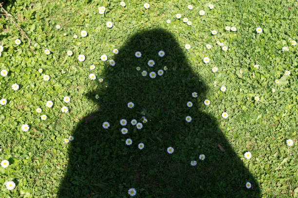 teenage girl lying in meadow of flowers