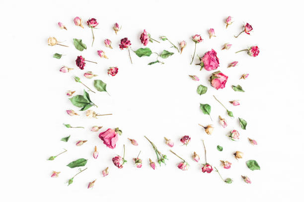 istock Frame made of dried rose flowers. Flat lay, top view 689775244