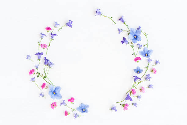 Wreath made of bell flowers, pansy flowers and pink flowers Wreath made of bell flowers, pansy flowers and pink flowers on white background. Flat lay, top view pansy photos stock pictures, royalty-free photos & images