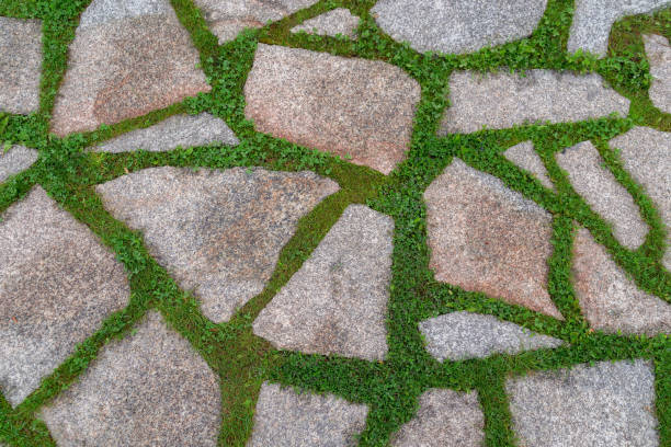 istock Old bricksbackground of an old street stone tiles 689794134