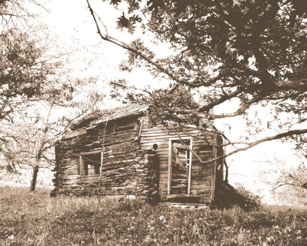 istock Cabin in the Woods 689802352