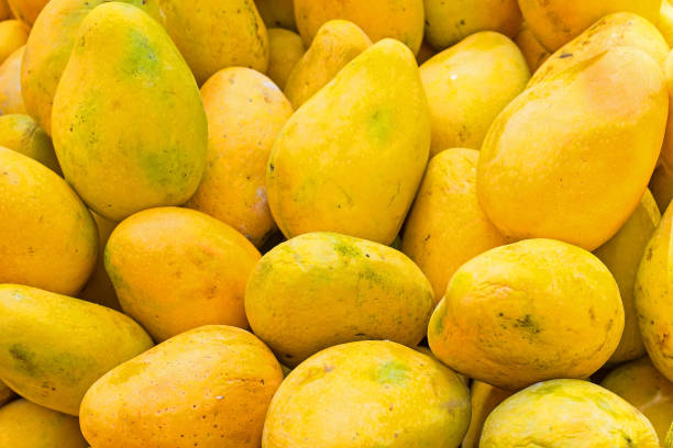 istock Fresh papayas in a market stall in India 689822852