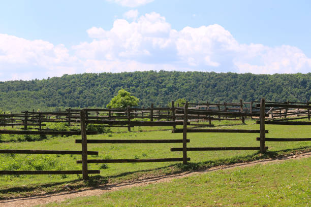 istock Empty animal farm summertime rural scene 689826250