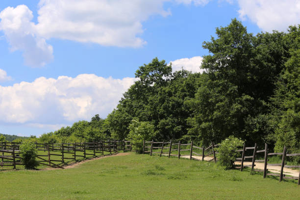 istock Rural landscape without animals against blue sky 689826280