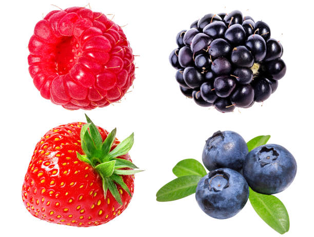 istock strawberry,raspberry,blueberries, blueberries, and blackberry isolated on white 689835624