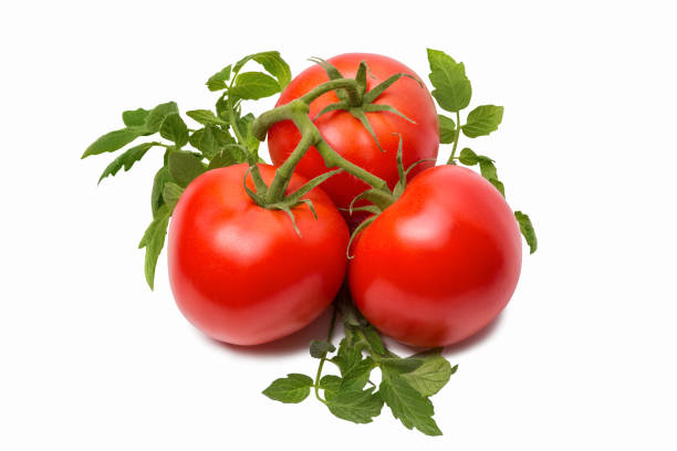istock Ripe tomatoes isolated on white background 689838856