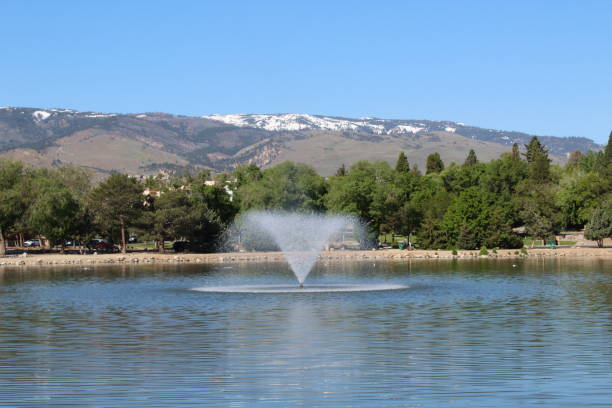 istock Birds on the Lake 689842960