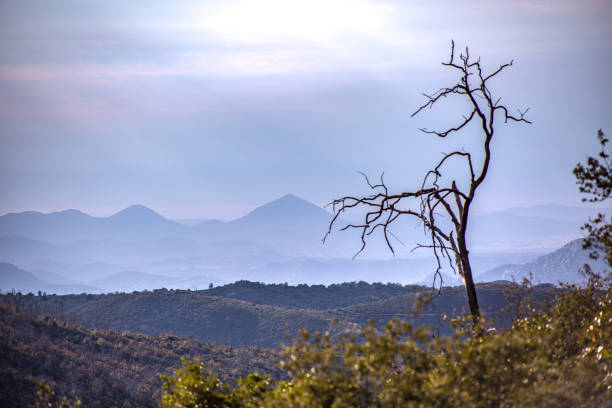 View from the back roads of Cuyamaca Lake