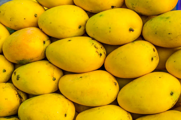 istock Fresh Mango in the market 689863568