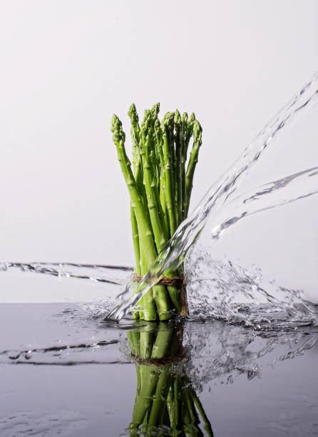 Studio shot with freeze motion of asparagus in water splash on white background with copy space