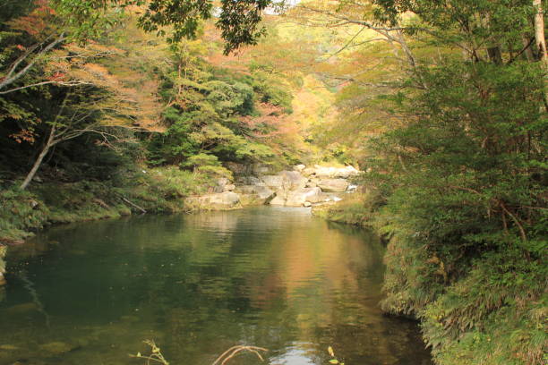 istock Valley and autumn leaves 689896702