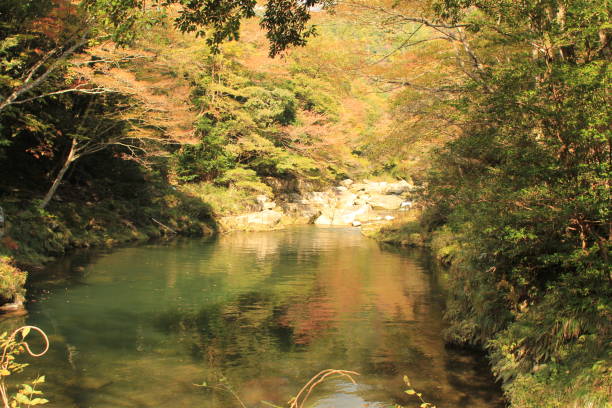 istock Valley and autumn leaves 689896728