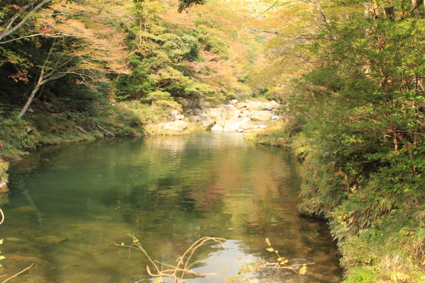 istock Valley and autumn leaves 689896774