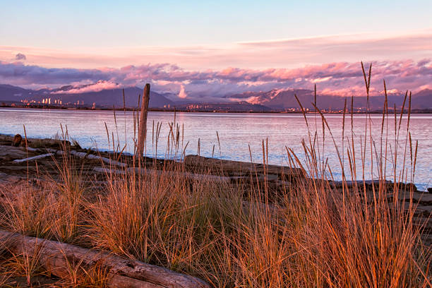 istock Boundary Bay sunset in autumn, Tsawwassen, BC, Canada 689899976