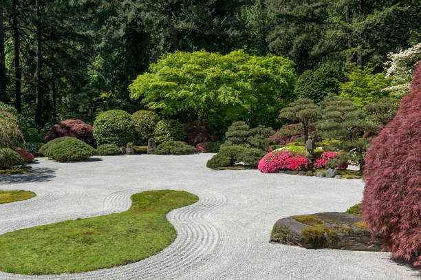 Japanese Flat Garden Moss Bushes Springtime Portland Oregon