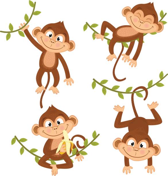 ilustraciones, imágenes clip art, dibujos animados e iconos de stock de conjunto de mono aislado colgando de la vid - primate