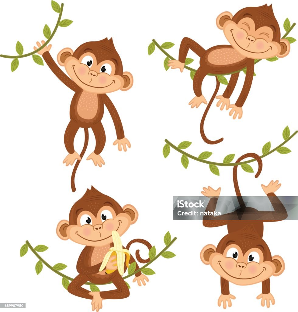 ensemble de singe isolé s'accrochant sur la vigne - clipart vectoriel de Singe libre de droits