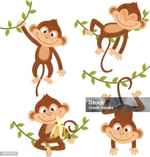 Ensemble De Singe Isolé Saccrochant Sur La Vigne Vecteurs libres de droits et plus d'images vectorielles de Singe - Singe, Cartoon, Forêt pluviale