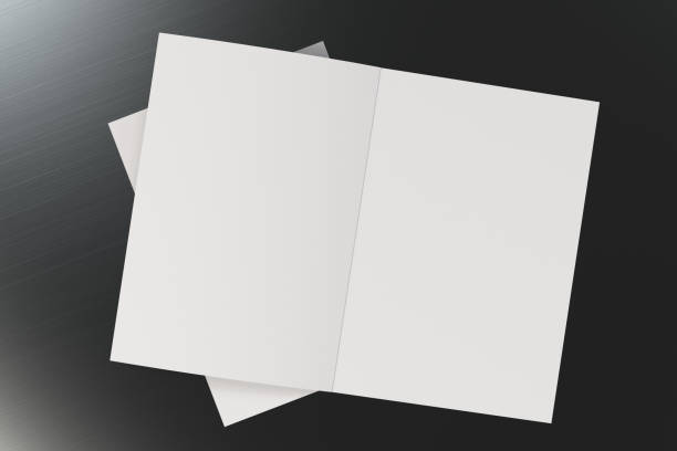 istock Two blank white open brochure mock-up on brushed metal background 689914200