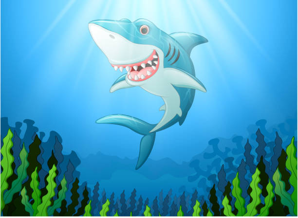 화이트 상어 만화 수 중 - vector reef coral shark stock illustrations