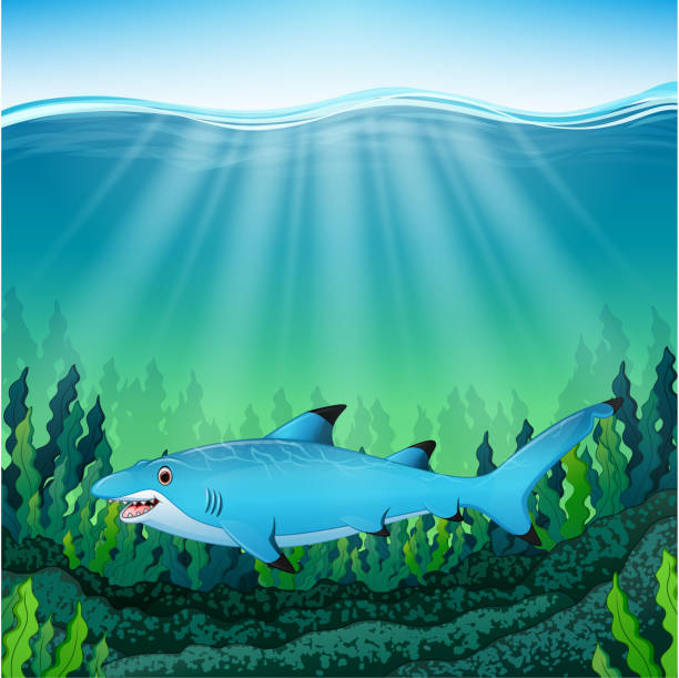 물 아래 만화 블루 상어 - vector reef coral shark stock illustrations