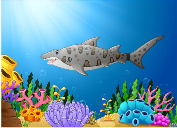 아름 다운 수 중에 만화 상어 물고기 - vector reef coral shark stock illustrations