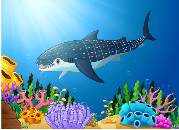 만화 고래 상어는 바다에서 - vector reef coral shark stock illustrations