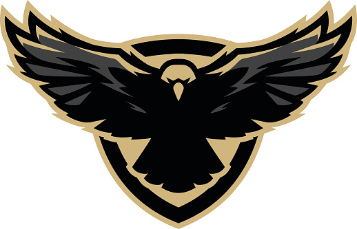Eagle in flight, icon
, symbol. Vector illustration.