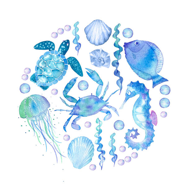 ręcznie rysowane na białym tle zestaw obiektów na temat morza - underwater animal sea horse fish stock illustrations