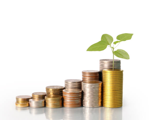 istock Investment concept, Coins graph stock 689924814