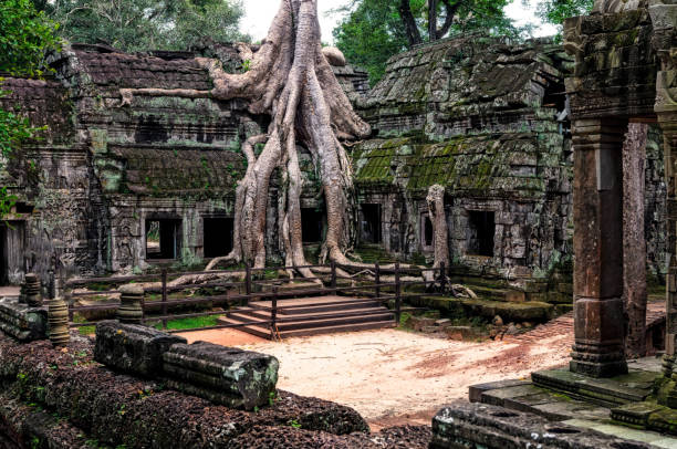 istock Angkor Prohm temple in Angkor, Cambodia 689928446