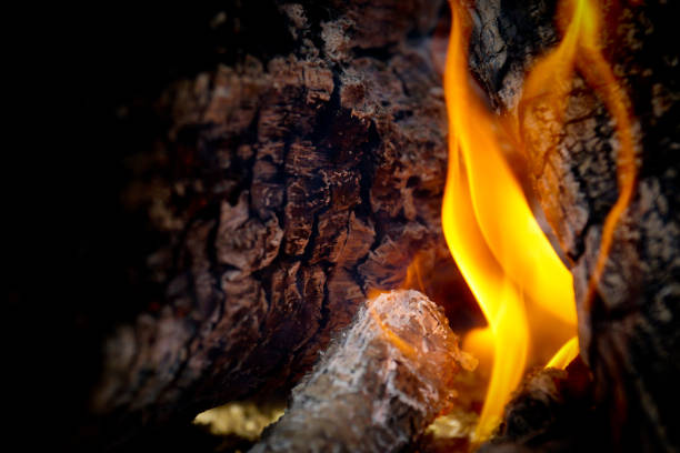 istock A close up of fire licking a log 689947288